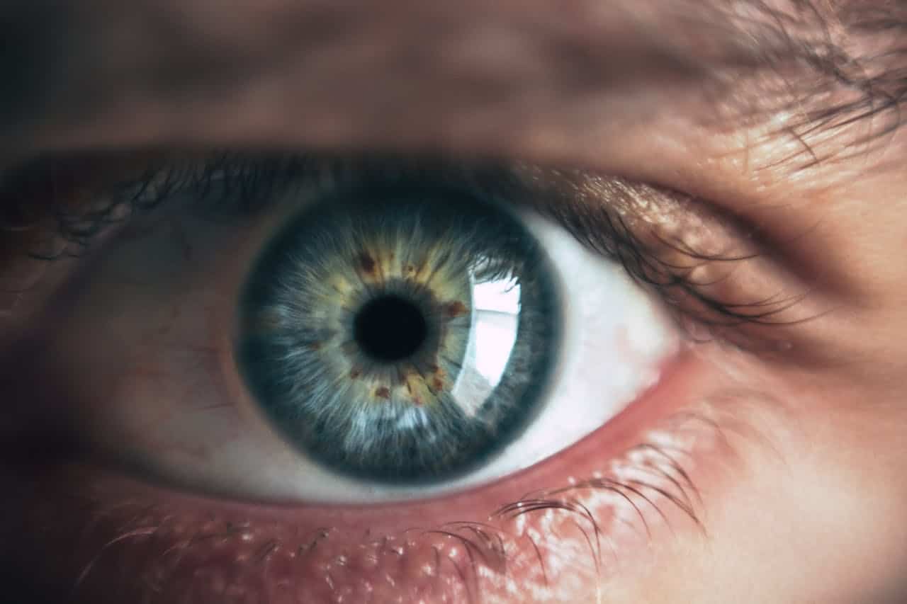 Bilateral eye stimulation demonstrated in online EMDR therapy