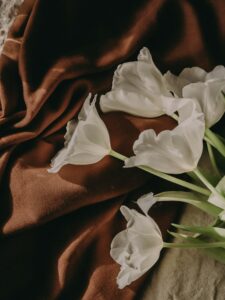 Soft white lilies resting on light fabric, a peaceful composition evoking gentleness and calm