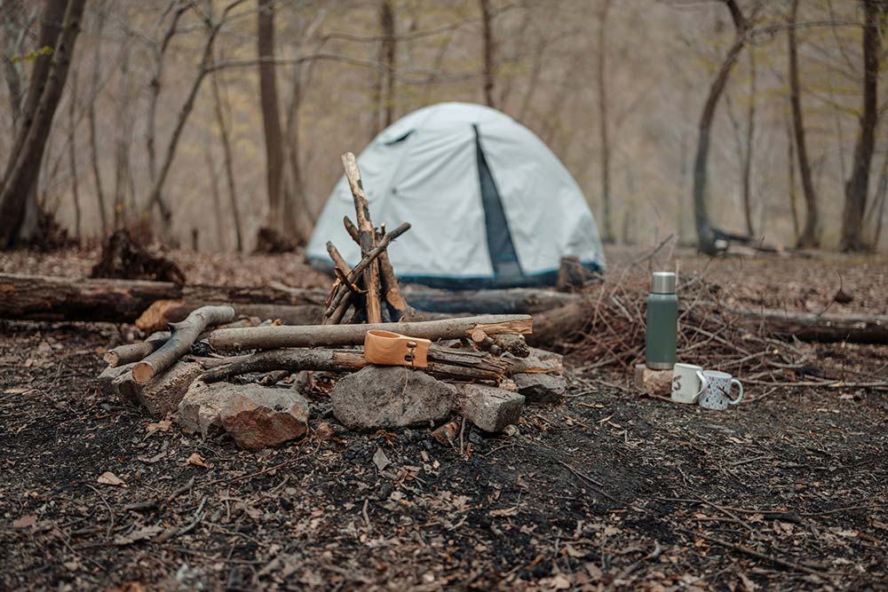 A tent in the woods near a pile of logs