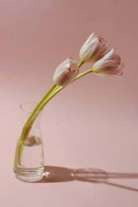 Cup of tea placed on white fabric, simple scene conveying warmth, rest, and quiet presence